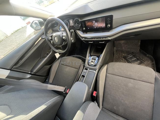 New Octavia 2022