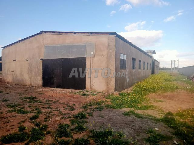 🏗️ Hangar 500 m2 et Terrain 8000 m2 Route Amizmiz