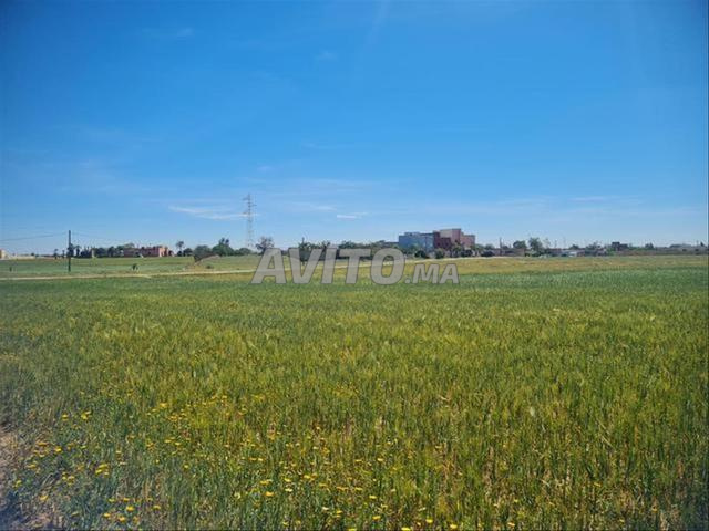 أراضٍ محفظة سيدي رحال الشاطئ - 2