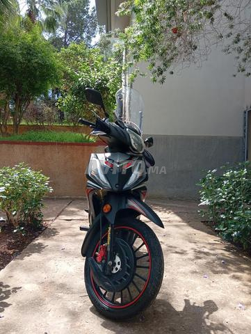 سانيا X1000 2023/06 - 2