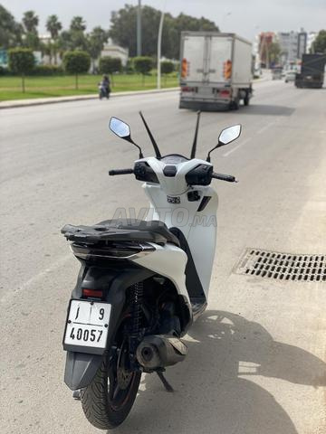 Honda Sh 150 digital - 2