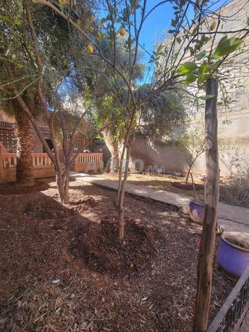 فيلا بمساحة 300 متر مربع في اثنين أوريكا