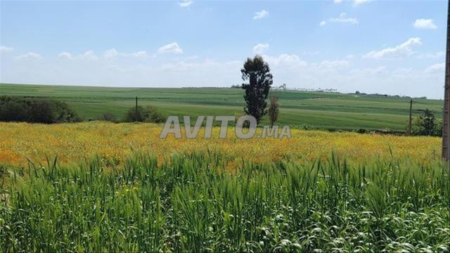 أراضي مسجلة — سيدي رحال، على شاطئ البحر - 2