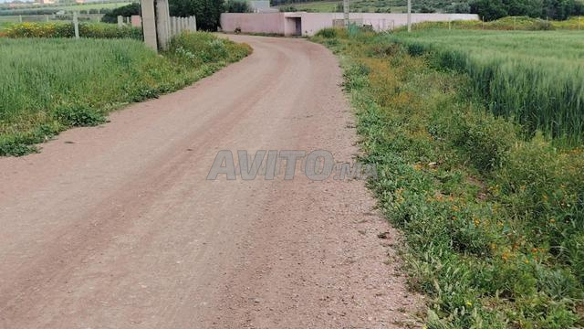 أراضٍ محفظة بإطلالة على بحر سيدي رحال - 2