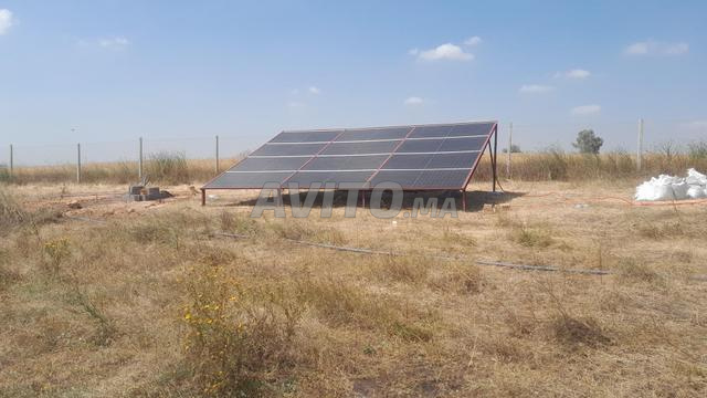 مزرعة للبيع - 2