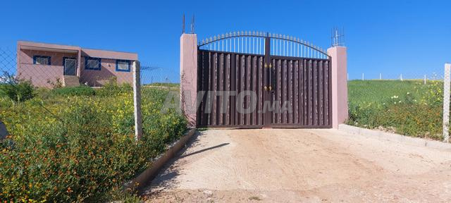 Terrain agricole à vendre - 2