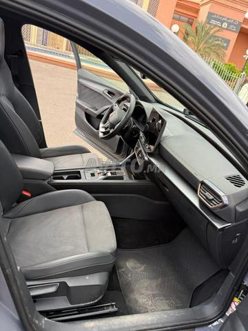 كوبرا فيرمنتور 2025 - 2