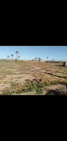 أرض 7200 متر مربع بدون وكالة مراكش - 2