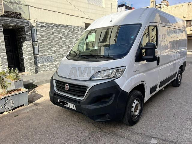 فيات دوكاتو كوميرس في أغادير