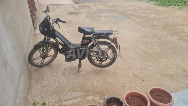 نينجا للبيع - 2