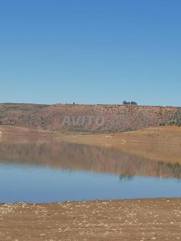 14 هكتار للبيع - 2