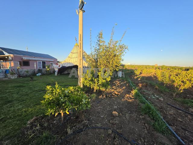 مزرعة مع منزل