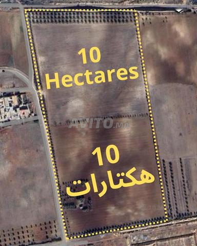 أرض 10 هكتارات فاس - 2
