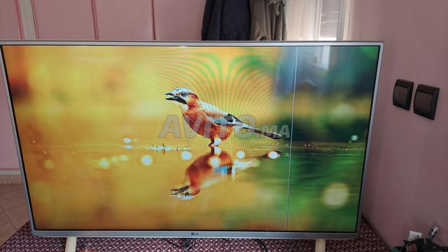 شاشة إل جي ذكية 43 بوصة أوروبية - 2