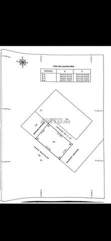 🌊 Terrain 100m² vue mer direct Sidi Ouassay 🌊 - 2