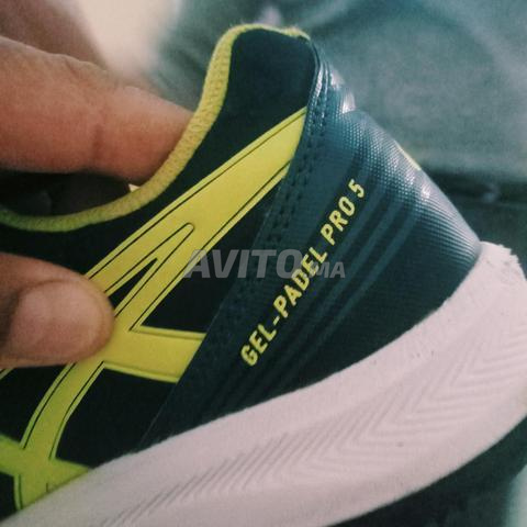 أسيكس أصلية