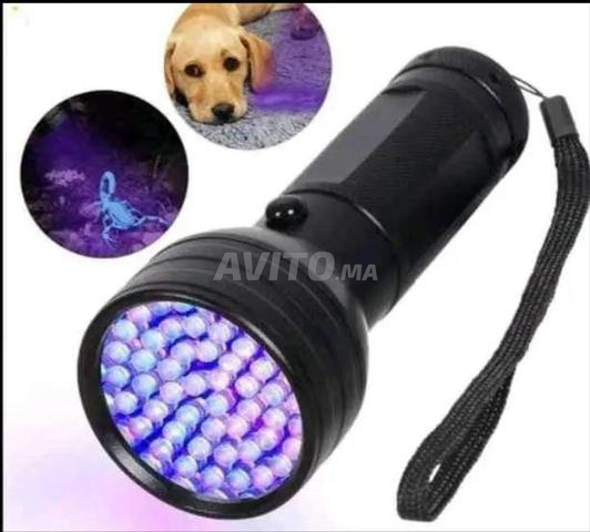 رفيقك في الرحلات - 2