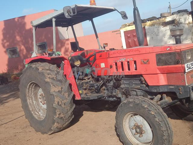 El Gharbia Oulad Sbita, environs de Zemamra - 2