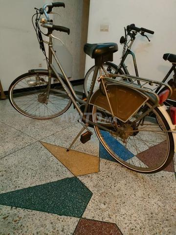Vélo Union du Pays Bas - 2