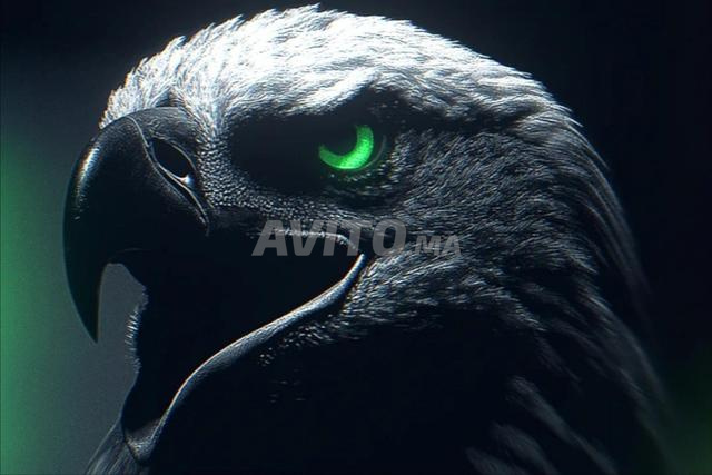 مرحباً، أنا مصمم لجميع أنواع الشعارات، السيرة الذاتية، الرسائل - 2