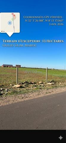 أرض للإيجار - 2