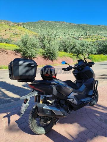 هوندا ADV 350 موديل 2025 - 2