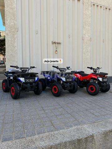 Livraison gratuite dans toutes les villes - 2