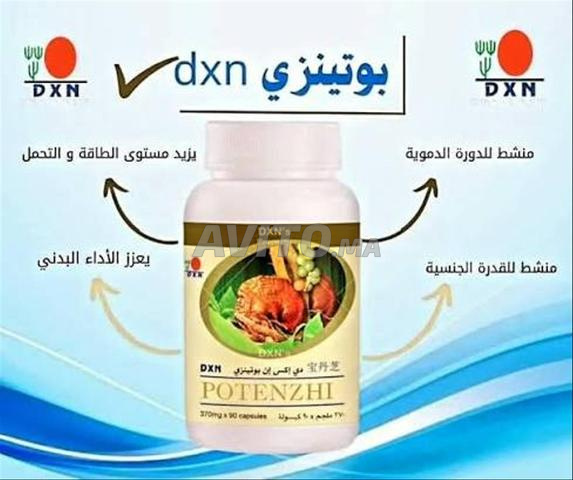 Complément Potenzi - 2