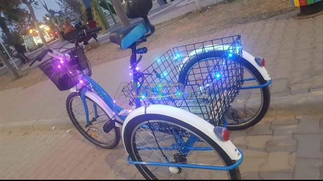 Vélos et vélos électriques à trois roues - 2