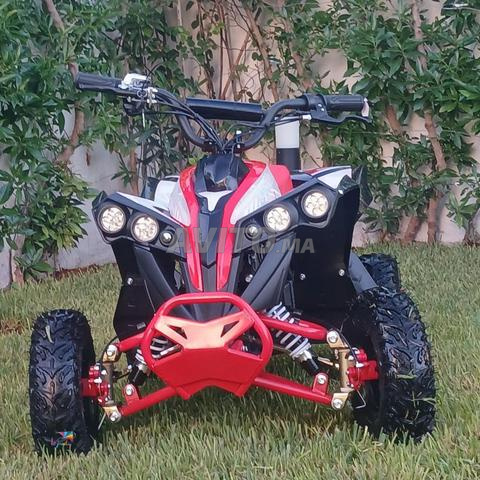 Vente flash Quads électriques Essence Haut gamme