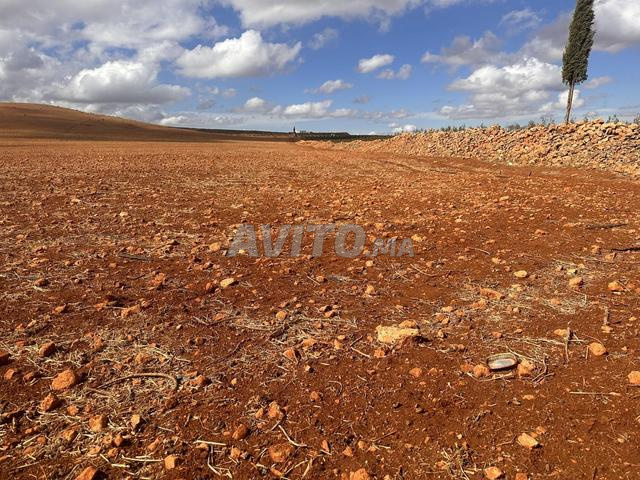 36 hectares à vendre - 2