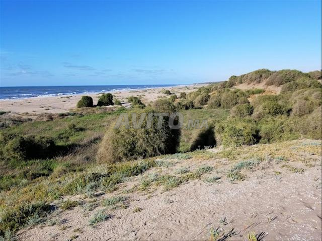 Terrain en bord de mer près d'OlaBlanca