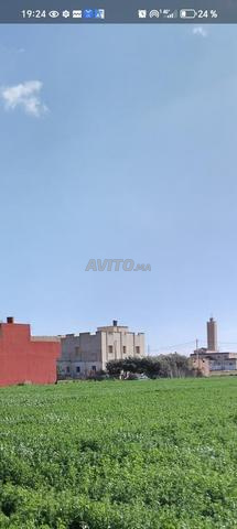 BouarK, Province de Nador, Oulad Bouattia - 2