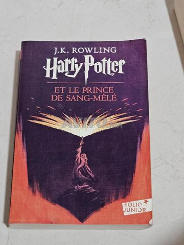 هاري بوتر أمير الهجين