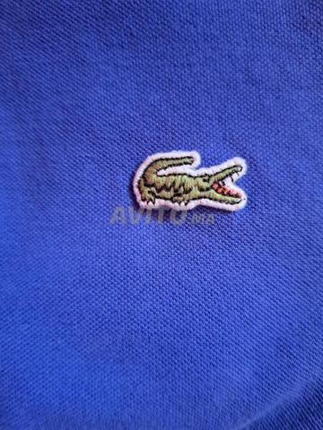 بولو لاكوست أصلي جديد M L 4 - 2