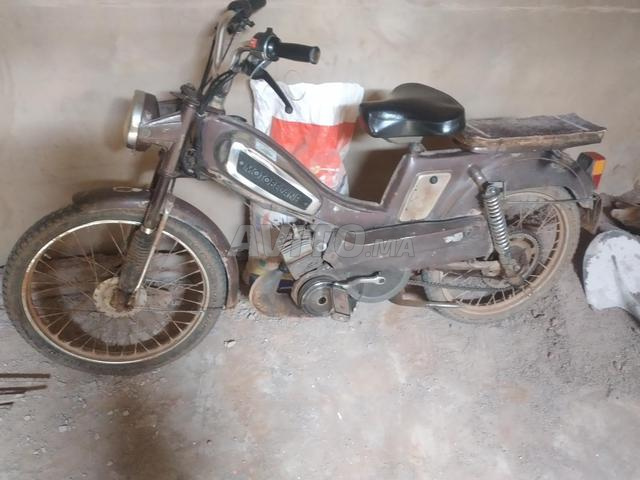 العطاوية بوضهر - 2