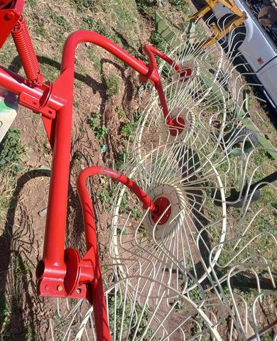 🇮🇹 راطو جديد من إيطاليا - 2