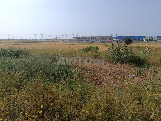 Lot de terrain zone industrielle - 2