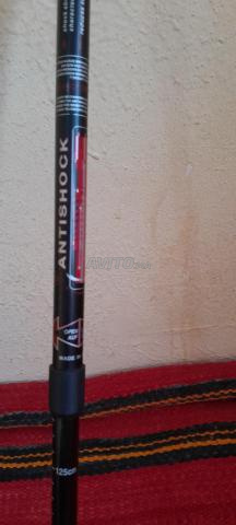 Bâton de marche - 2