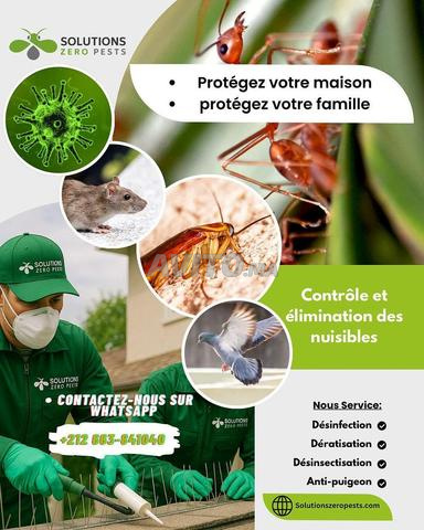 Dératisation désinsectisation