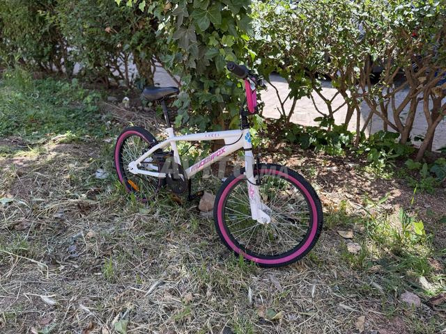 🚲 BMX Muddyfox Angel 20