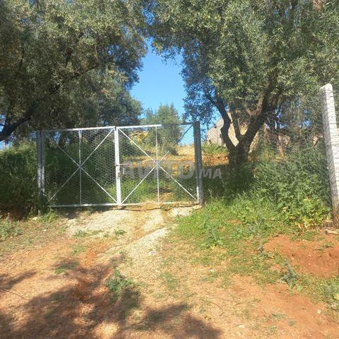 Une ferme à ne pas rater - 2