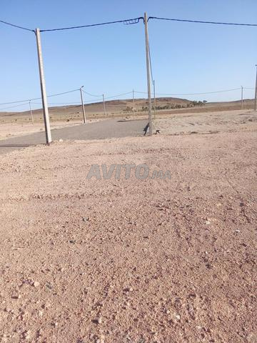 Lotissement Bouazar pour habitation Taznakht - 2