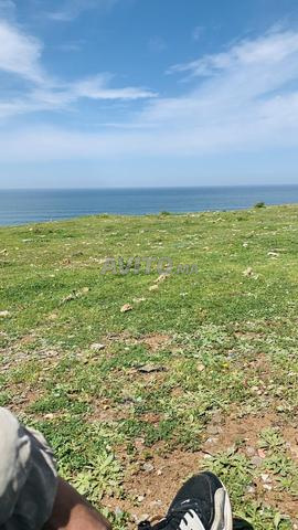 Hectare front de mer Bouknadel R2 - Propriété adel pure - 2