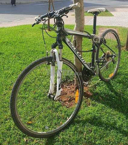 دراجة سكوت سبورتستر 50 - 2