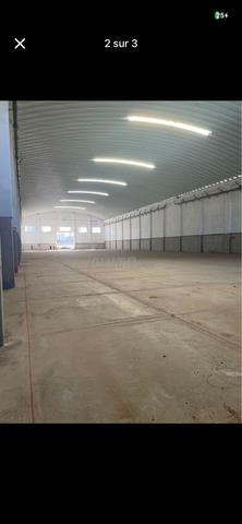 Entrepôt à louer - 2
