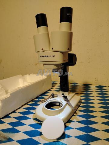 Microscope binoculaire stéréo - 2