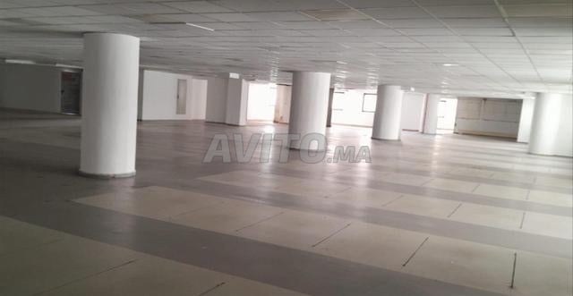 Plateau de bureau à louer 212 m² – Centre ville - 2
