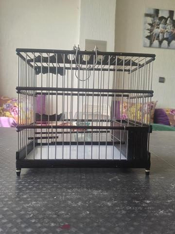 قفص مالاكا ڤانݣي - 2