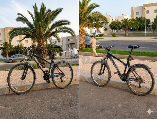 دراجة هوائية BITWIN - 2